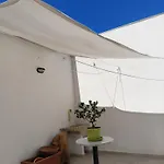 Piccola Azzurra Branch